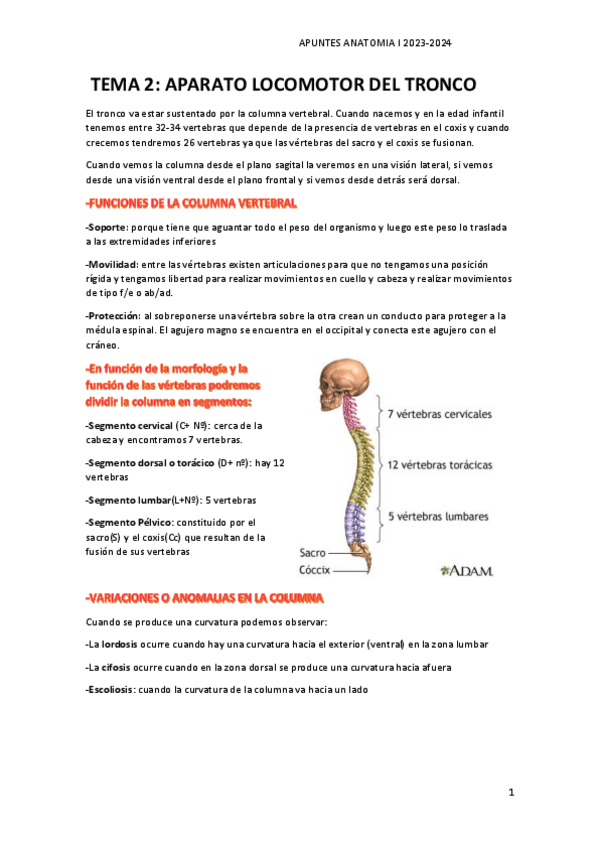 Miniatura del documento TEMA-2-anatomia-I.pdf