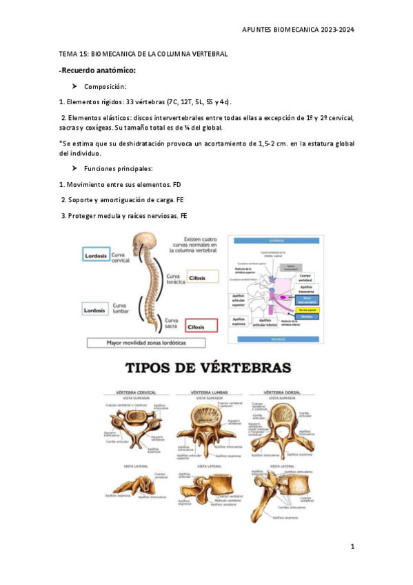 Miniatura del documento TEMA-15.pdf