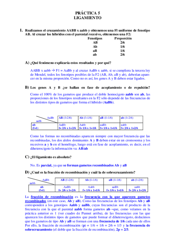 Miniatura del documento PRACTICA05-2023resuelta.pdf