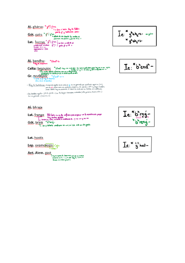 Miniatura del documento PRÁCTICAS-LINGÜÍSTICA-INDOEUROPEA-II.pdf