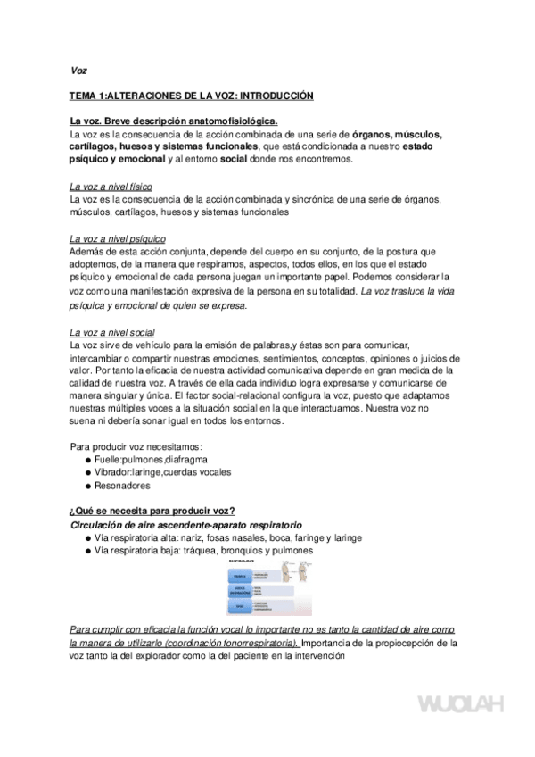 Miniatura del documento Apuntes-Completos-Alteraciones-del-habla-y-de-la-voz.docx