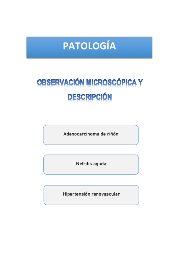 Miniatura del documento OBSERVACION-MICROSCOPICA-Y-DESCRIPCION-ADENOCARCINOMA-DE-RINON-NEFRITIS-AGUDA-HIPERTENSION-RENOVASCULAR.pdf