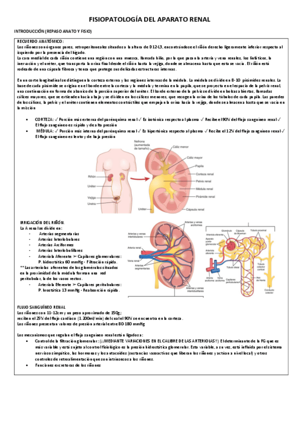 Miniatura del documento FISIOPATOLOGIA-DEL-APARATO-RENAL.pdf
