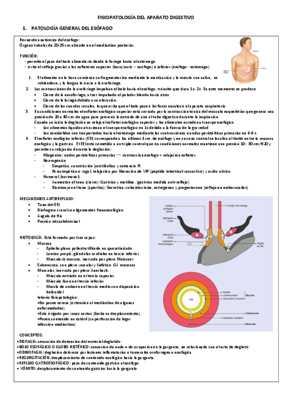 Miniatura del documento FISIOPATOLOGIA-DEL-APARATO-DIGESTIVO.pdf
