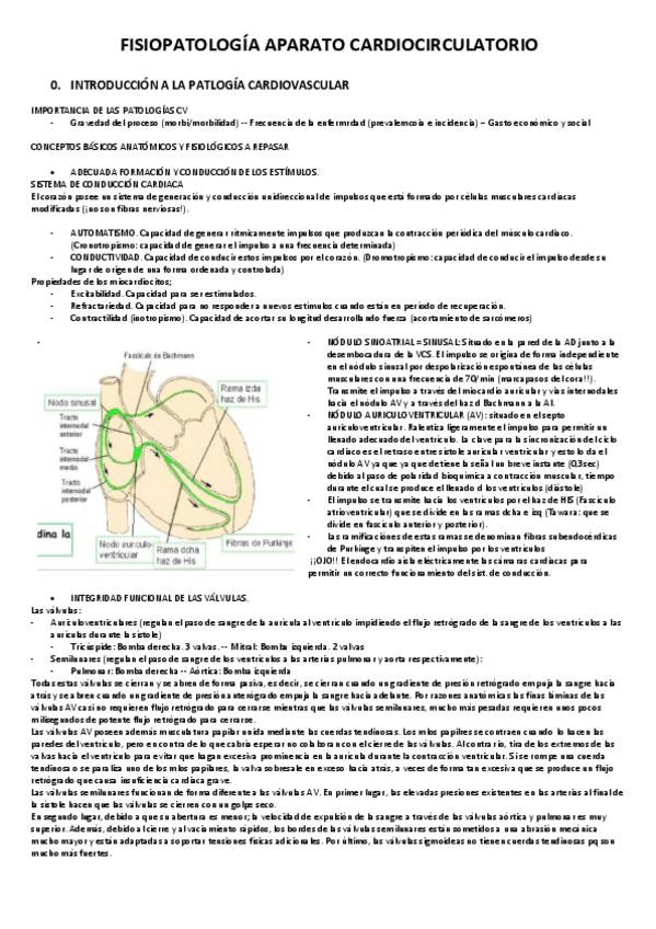 Miniatura del documento FISIOPATOLOGIA-APARATO-CARDIOCIRCULATORIO.pdf