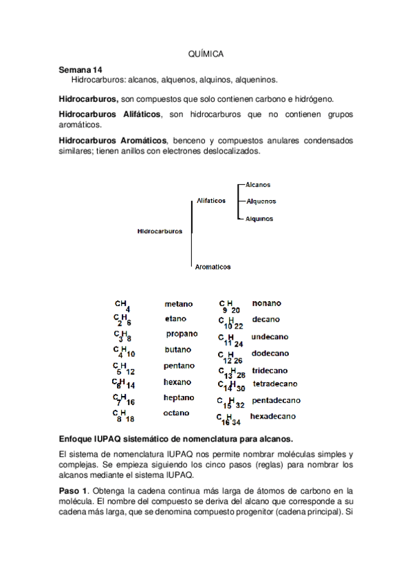 Miniatura del documento HIDROCARBUROS.pdf
