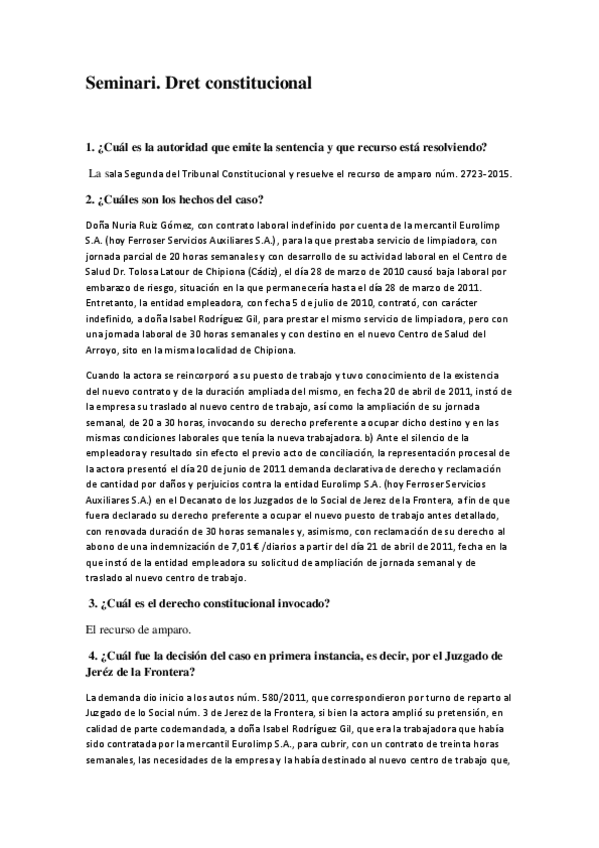 Miniatura del documento Seminari Consti.pdf