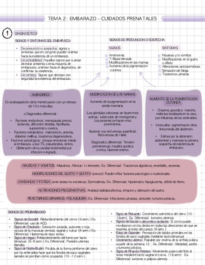 Miniatura del documento T2-CUIDADOS-PRENATALES.pdf