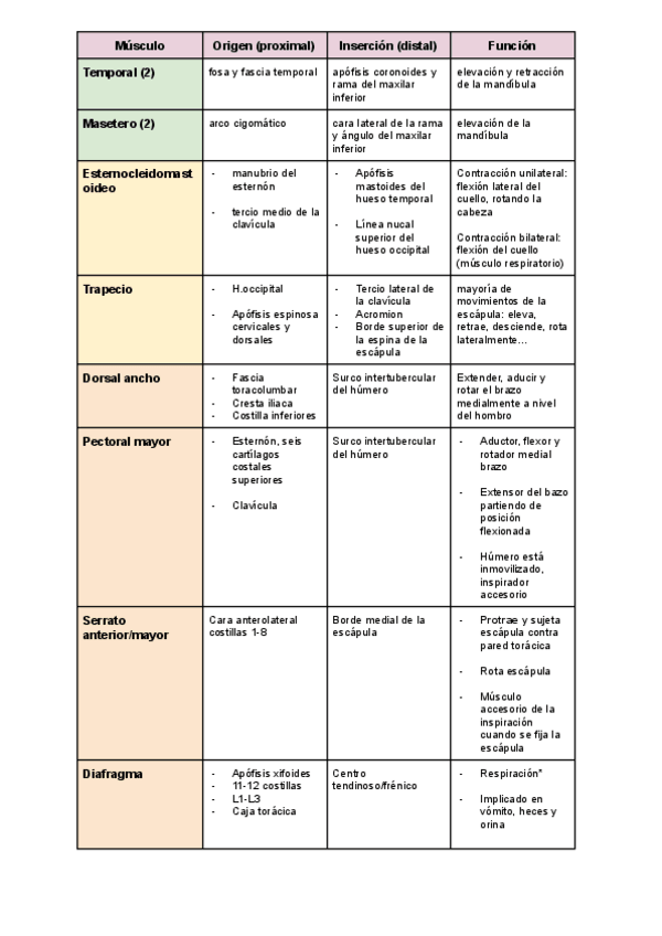 Miniatura del documento Tabla-musculos-importantes.pdf