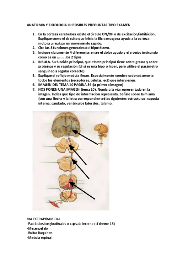 Miniatura del documento examen-anatomia-y-fisiologia-III.pdf
