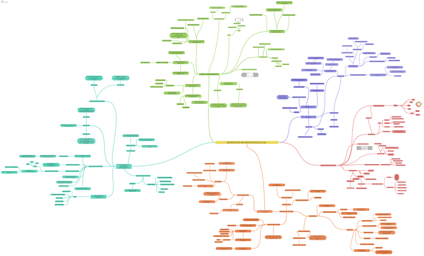 Miniatura del documento MAPA-MENTAL-BIOSINTESIS-DE-MACROMOLECULAS.pdf