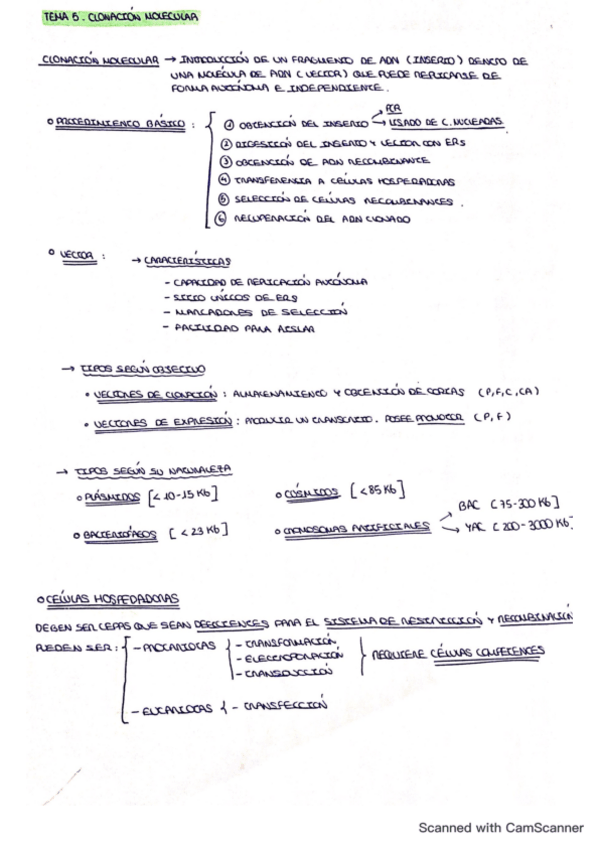 Miniatura del documento RESUMEN-TEMA-5.pdf