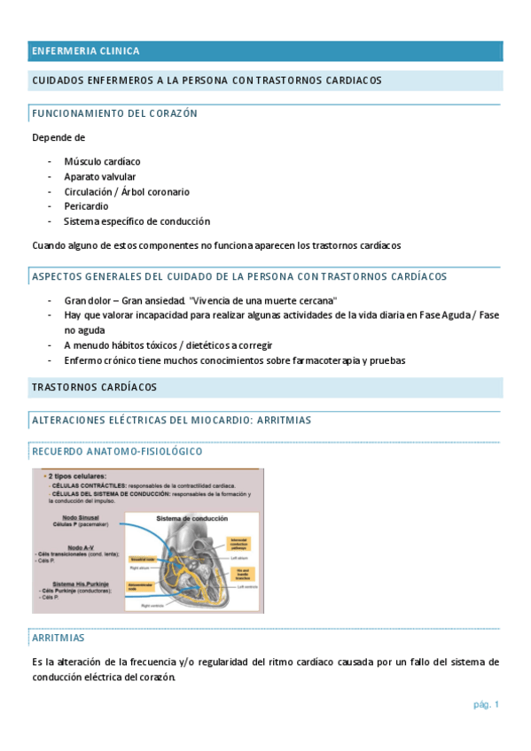Miniatura del documento cardio-IC.pdf