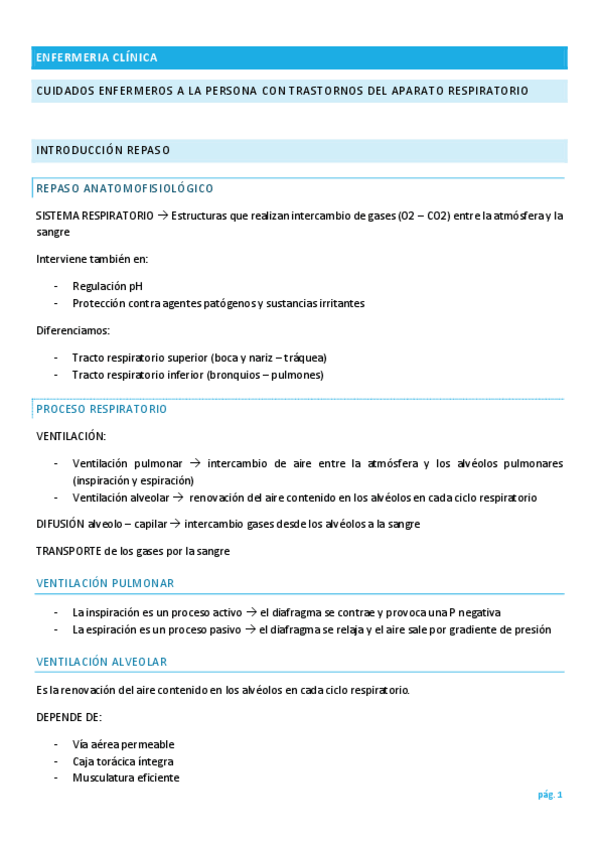 Miniatura del documento respi-IC.pdf