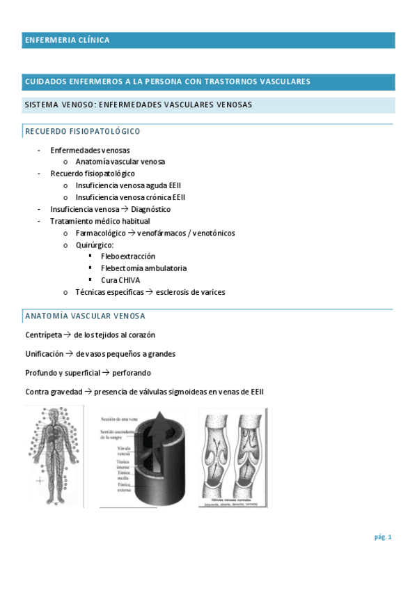 Miniatura del documento vascular-IC.pdf