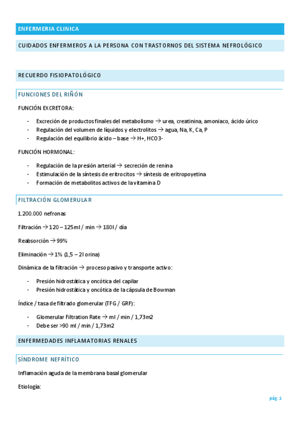 Miniatura del documento nefro-IC.pdf