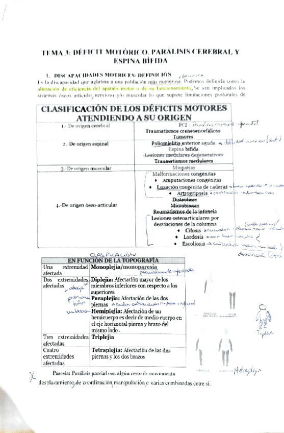 Miniatura del documento Necesidades-Tema-3-Deficit-motorico.pdf