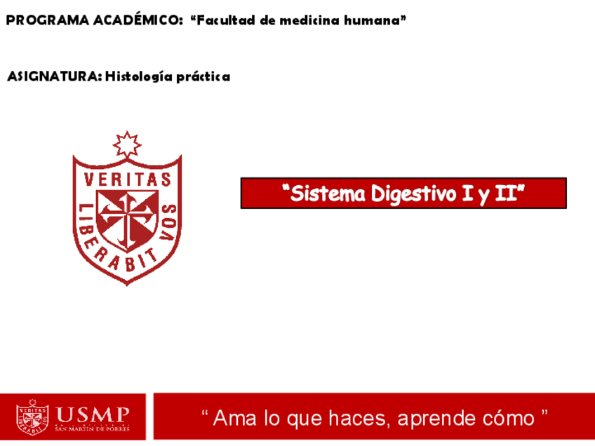 Miniatura del documento Sistema-Digestivo-histologia.pdf