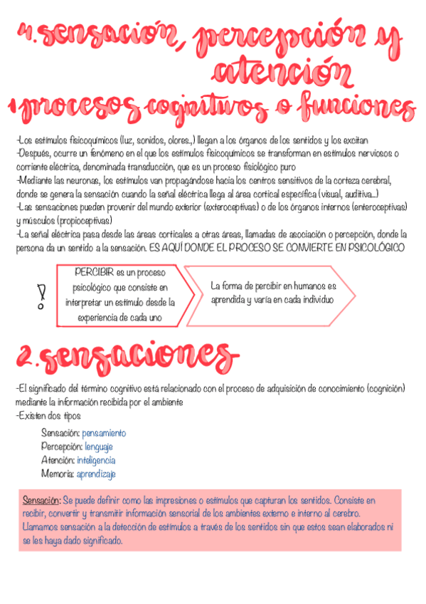 Miniatura del documento Tema-4.-Sensacion-Percepcion-Y-atencion.pdf