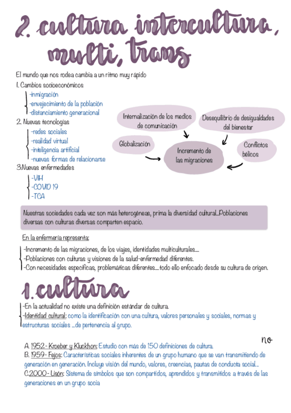 Miniatura del documento Tema-2.-Transculturalidad-En-Enfermeria.pdf
