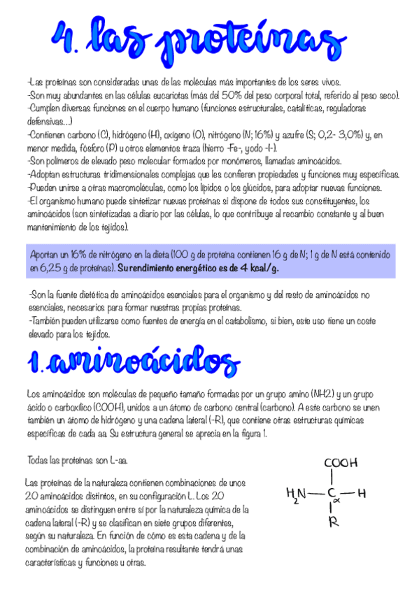 Miniatura del documento Tema-4.-Proteinas.pdf