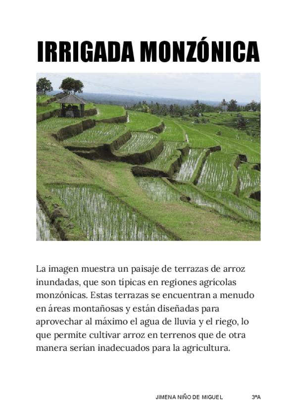 Miniatura del documento Comentario-de-texto-IRRIGADA-MONZONICA.pdf