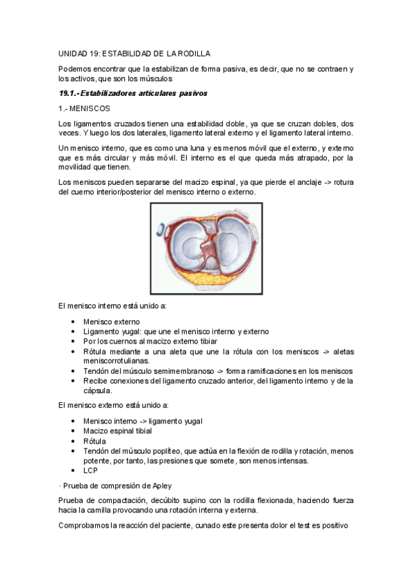 Miniatura del documento UNIDAD-19ESTABILIDAD-DE-LA-RODILLA.pdf