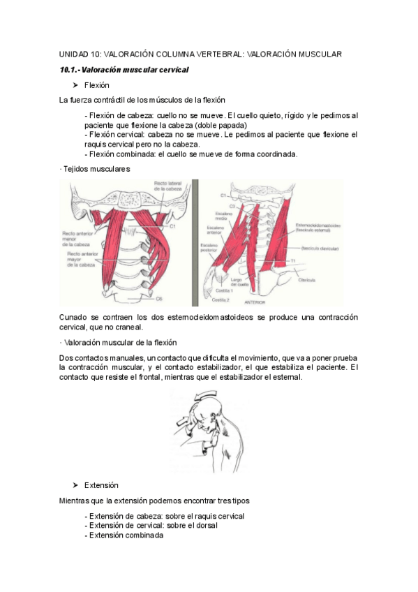 Miniatura del documento UNIDAD-10VALORACION-COLUMNA-VERTEBRALVALORACION-MUSCULAR.pdf