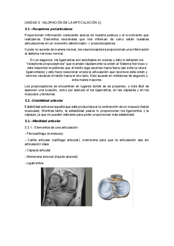 Miniatura del documento UNIDAD-5VALORACION-DE-LA-ARTICULACION-I.pdf
