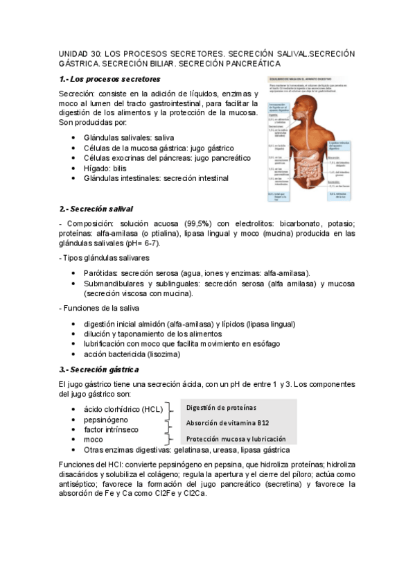 Miniatura del documento UNIDAD-30LOS-PROCESOS-SECRETORES.-SECRECION-SALIVAL.SECRECION-GASTRICA.-SECRECION-BILIAR.-SECRECION-PANCREATICA.pdf