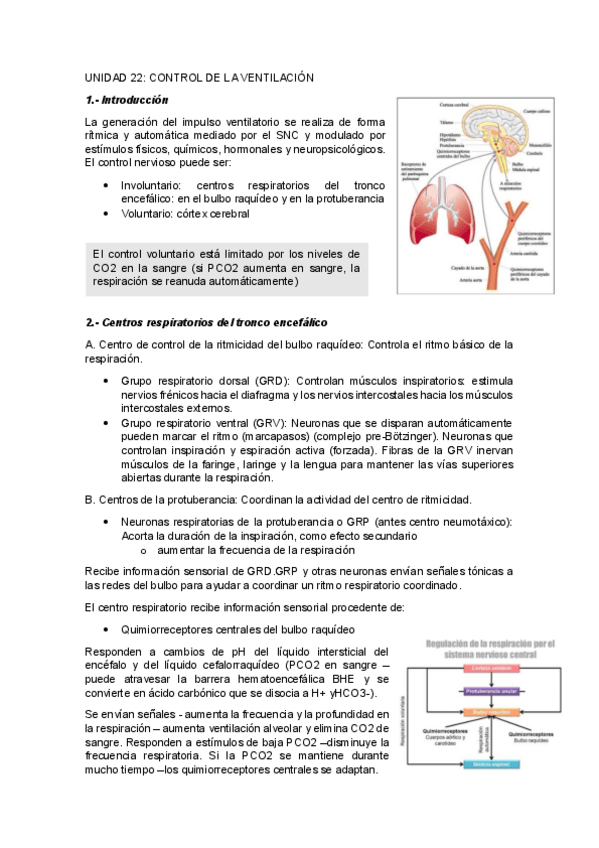 Miniatura del documento UNIDAD-22CONTROL-DE-LA-VENTILACION.pdf