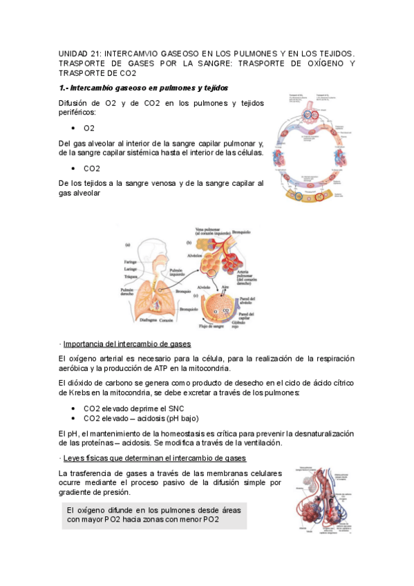 Miniatura del documento UNIDAD-21.pdf