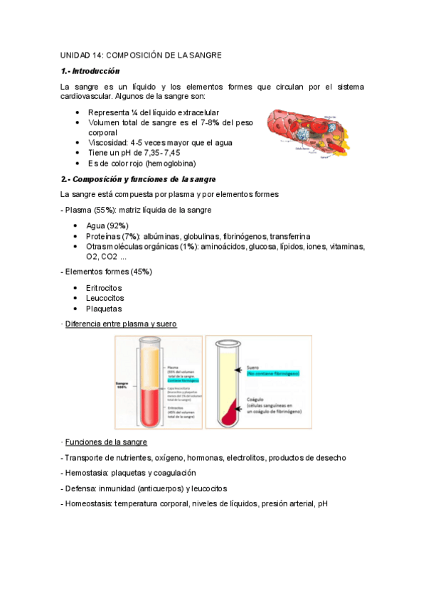 Miniatura del documento UNIDAD-14COMPOSICION-DE-LA-SANGRE.pdf