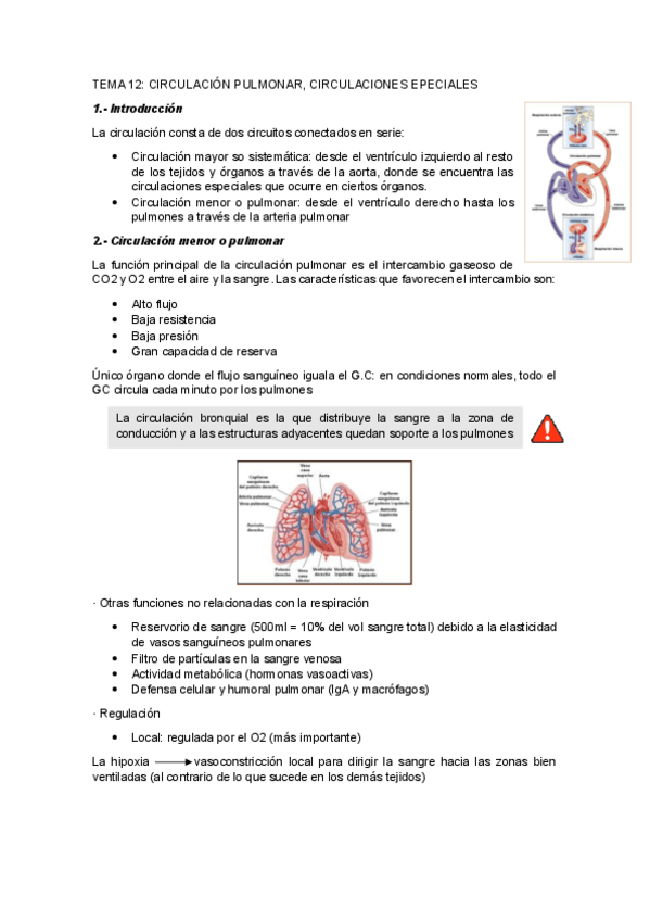 Miniatura del documento UNIDAD-12CIRCULACION-PULMONAR-CORCULACIONES-EPECIALES.pdf