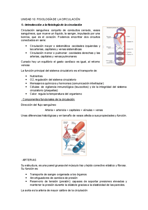 Miniatura del documento UNIDAD-10FISIOLOGIA-DE-LA-CIRCULACION.pdf
