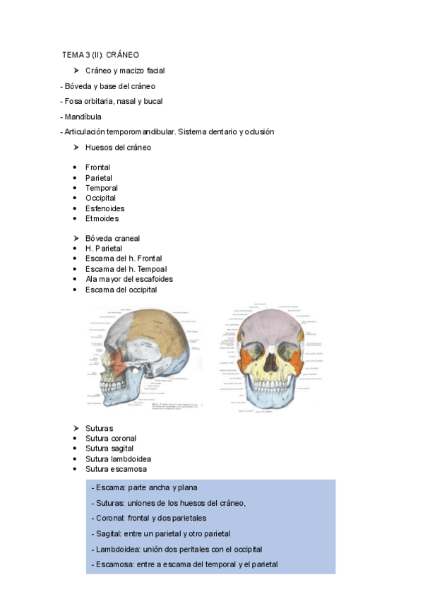 Miniatura del documento UNIDAD-3-CRANEO.pdf
