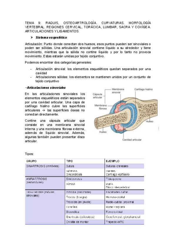 Miniatura del documento TEMA9.pdf