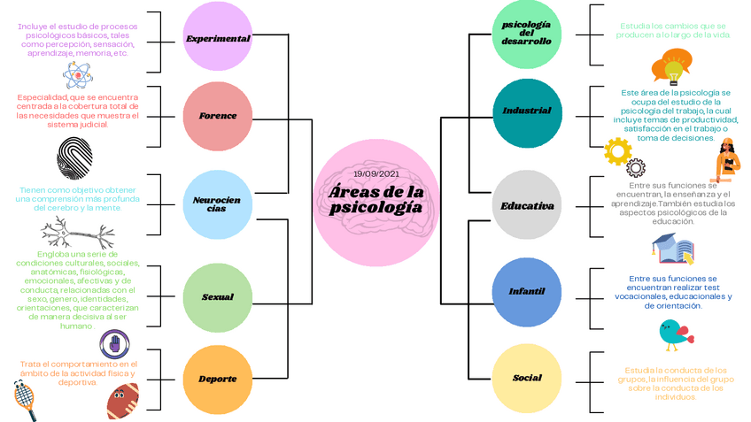 Miniatura del documento Areas-de-la-psicologia-1.pdf