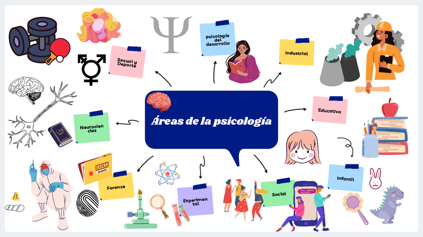 Miniatura del documento Areas-de-la-psicologia.pdf