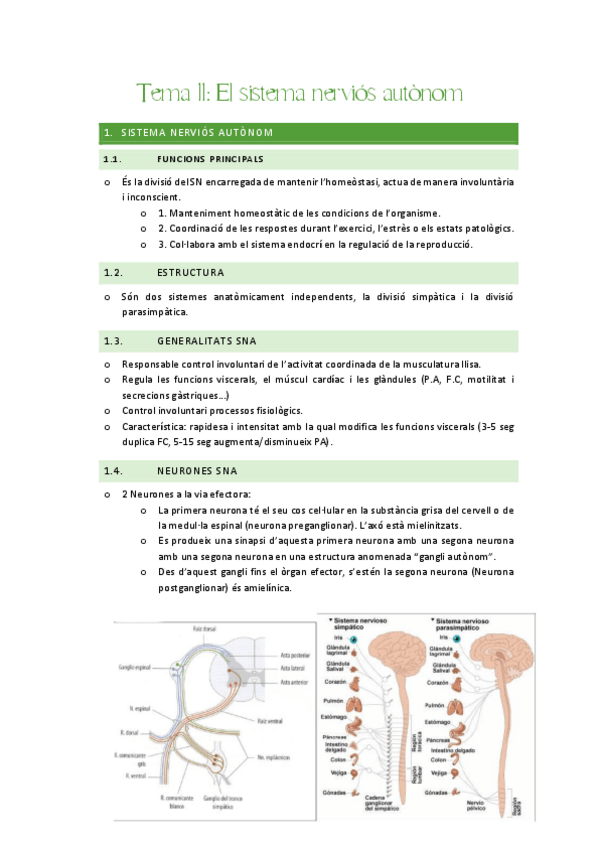 Miniatura del documento APUNTES-TEMA-11.pdf