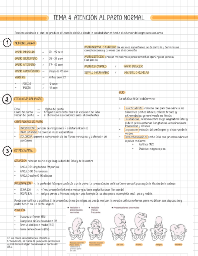 Miniatura del documento T4-PARTO.pdf