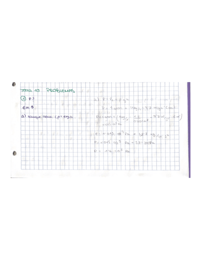 Miniatura del documento FFQ-ejercicios-T10.pdf