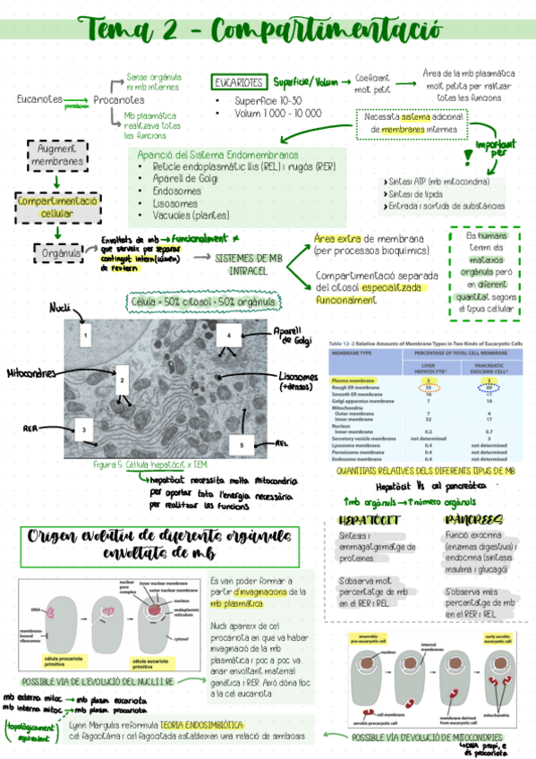 Miniatura del documento Tema-2-Compartimentacio.pdf