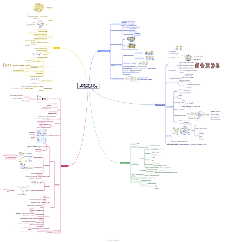 Miniatura del documento Mapa-Mental.pdf