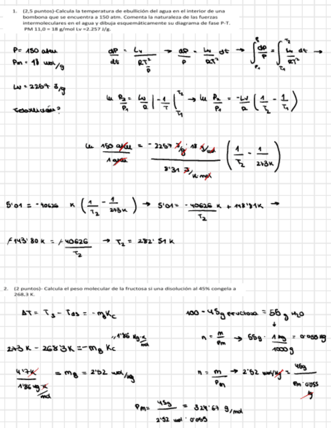 Miniatura del documento parcial-corregido-julia-2019.pdf