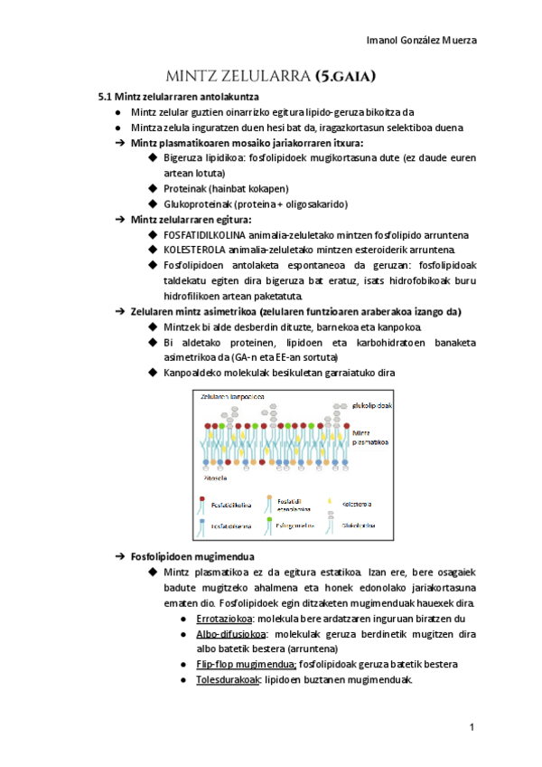 Miniatura del documento 5.-BIOLOGIA-INGENIERITZA-KIMIKOA.pdf