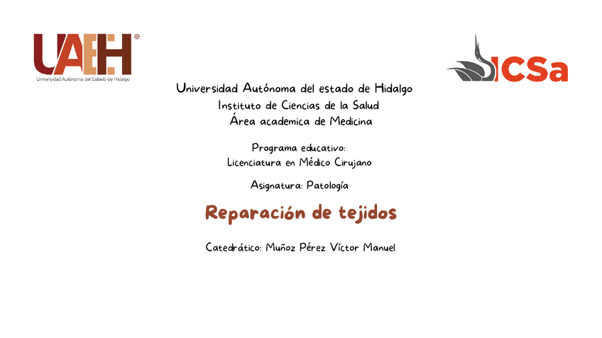Miniatura del documento Reparacion-de-Tejidos-UAEH-Medicina-3o1-Patologia-Dr.-Victor-M.pdf