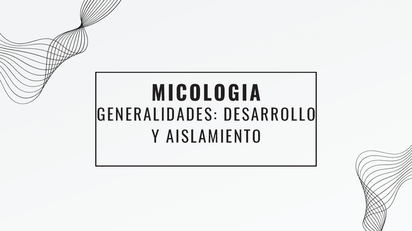 Miniatura del documento Micologia-UAEH-Medicina-3o1-Microbiologia-Dra.-Leticia.pdf