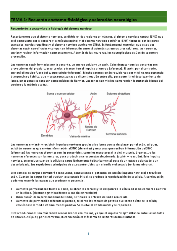 Miniatura del documento Neuro-1-y-2-neuro.pdf