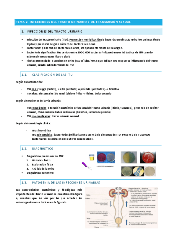 Miniatura del documento Tema-2.pdf